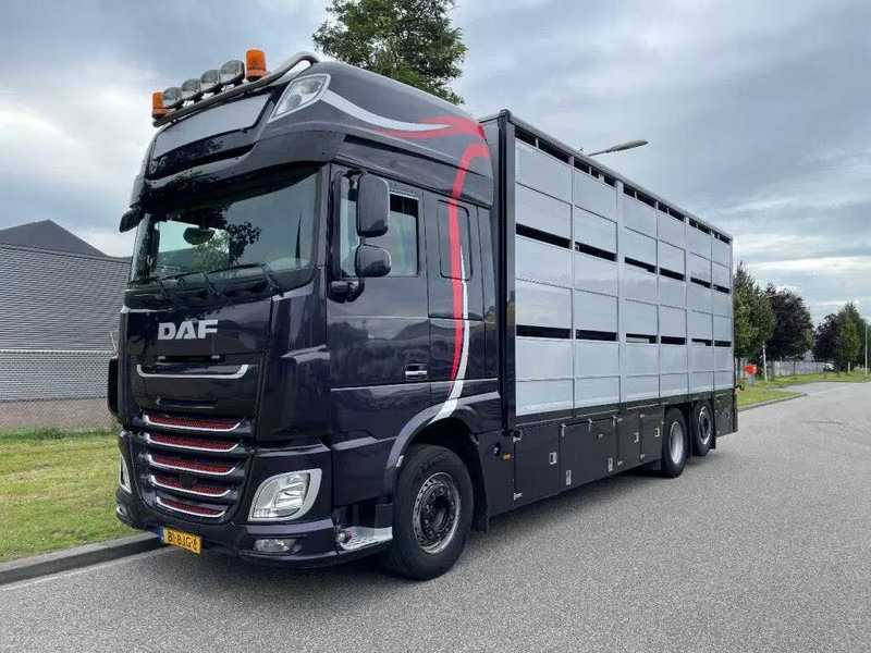 DAF XF 460 - Animal transporter - Xe tải chở gia súc: hình 1 DAF XF 460 - Animal transporter - Xe tải chở gia súc: hình 1