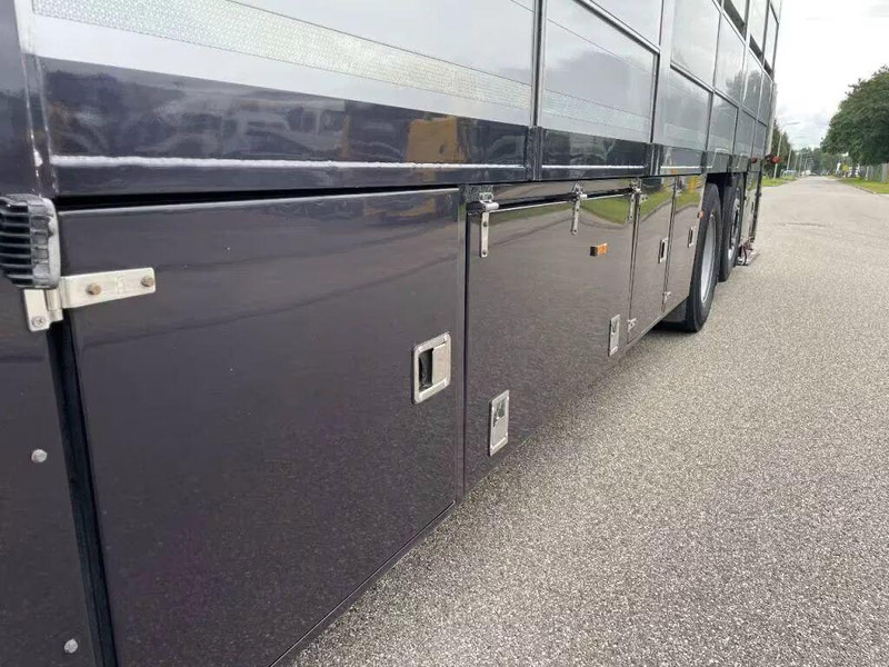 Cho thuê DAF XF 460 - Animal transporter DAF XF 460 - Animal transporter: hình 15 Cho thuê DAF XF 460 - Animal transporter DAF XF 460 - Animal transporter: hình 15