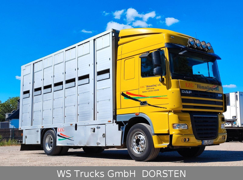 DAF XF410 Menke Doppelstock - Xe tải chở gia súc: hình 3 DAF XF410 Menke Doppelstock - Xe tải chở gia súc: hình 3