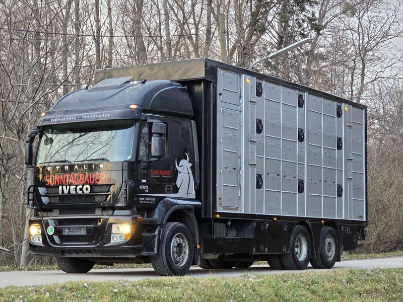 Iveco Stralis 260S45 - Animal transporter - Xe tải chở gia súc: hình 1 Iveco Stralis 260S45 - Animal transporter - Xe tải chở gia súc: hình 1