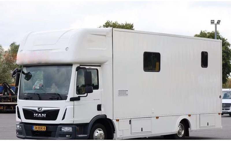 MAN TGL 8.190 - - Xe tải chở ngựa: hình 1 MAN TGL 8.190 - - Xe tải chở ngựa: hình 1