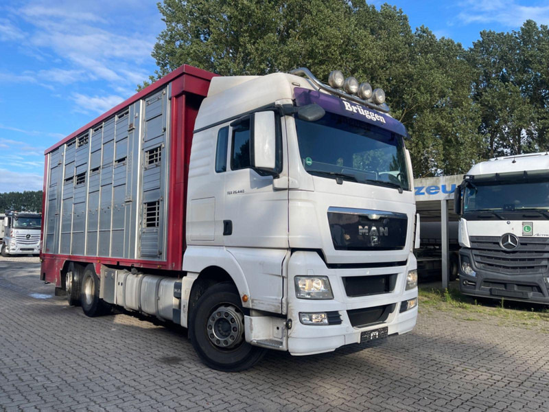 MAN TGX 26.400 6x2-2 LL 3 Stück Finkl Hubdach - Xe tải chở gia súc: hình 5 MAN TGX 26.400 6x2-2 LL 3 Stück Finkl Hubdach - Xe tải chở gia súc: hình 5