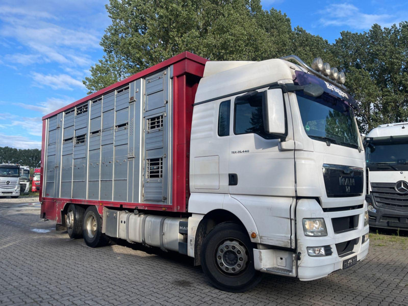 MAN TGX 26.400 6x2-2 LL 3 Stück Finkl Hubdach - Xe tải chở gia súc: hình 1 MAN TGX 26.400 6x2-2 LL 3 Stück Finkl Hubdach - Xe tải chở gia súc: hình 1