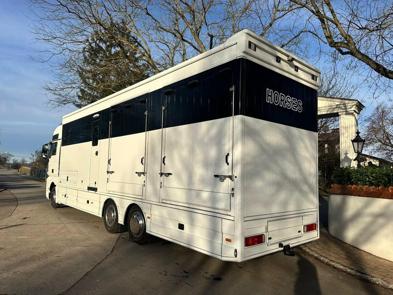 MAN TGX 26.440 - Horse transporter - Xe tải chở ngựa: hình 4 MAN TGX 26.440 - Horse transporter - Xe tải chở ngựa: hình 4