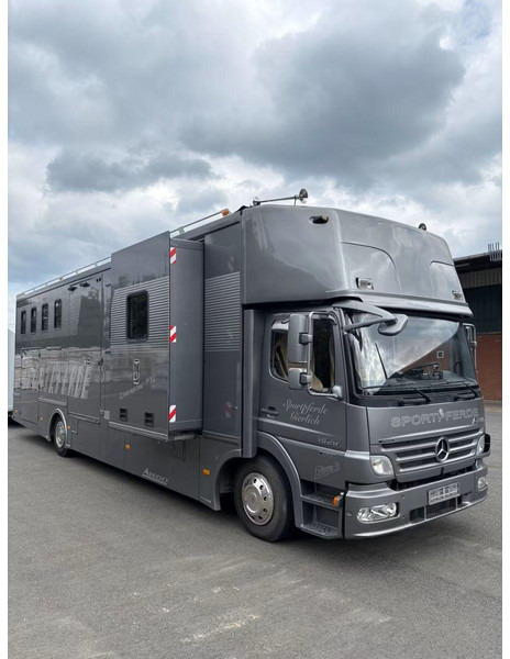 Mercedes-Benz Atego 1529 - Horse transporter - Xe tải chở ngựa: hình 2 Mercedes-Benz Atego 1529 - Horse transporter - Xe tải chở ngựa: hình 2