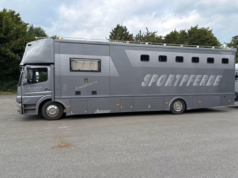 Mercedes-Benz Atego 1529 - Horse transporter - Xe tải chở ngựa: hình 4 Mercedes-Benz Atego 1529 - Horse transporter - Xe tải chở ngựa: hình 4