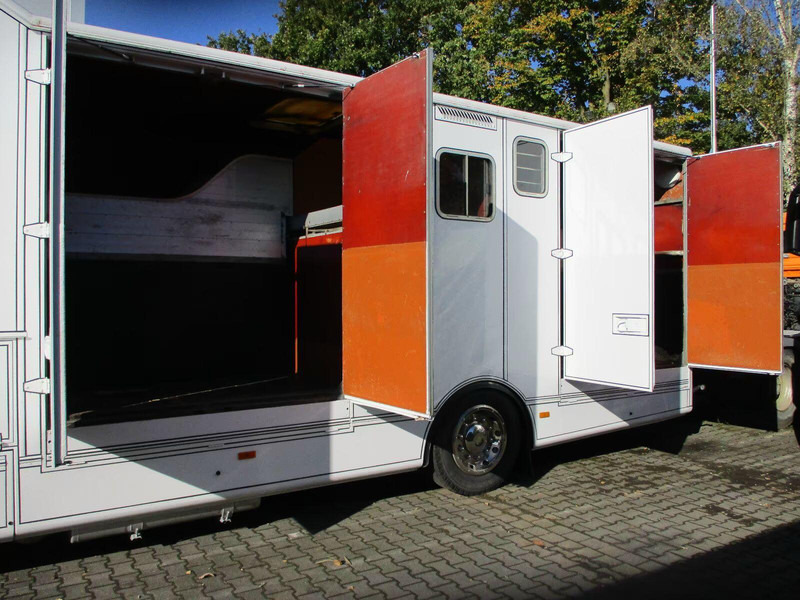 Mercedes-Benz Axor 1833 - Horse transporter - Xe tải chở ngựa: hình 5 Mercedes-Benz Axor 1833 - Horse transporter - Xe tải chở ngựa: hình 5