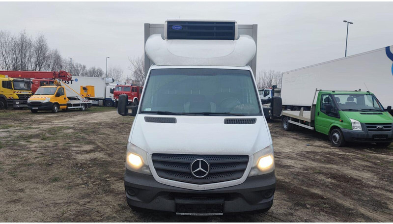 Mercedes-Benz Sprinter 316 cdi - Carrier Xarios 500 frigo - 3,5t - 220V - Xe van đông lạnh: hình 5 Mercedes-Benz Sprinter 316 cdi - Carrier Xarios 500 frigo - 3,5t - 220V - Xe van đông lạnh: hình 5
