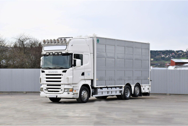 Scania R 500 - Xe tải chở gia súc: hình 1 Scania R 500 - Xe tải chở gia súc: hình 1