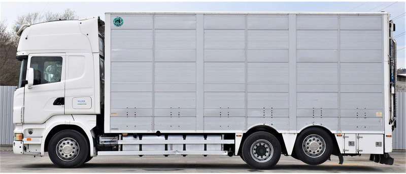 Scania R 500 - Xe tải chở gia súc: hình 3 Scania R 500 - Xe tải chở gia súc: hình 3