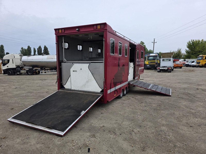 VELDHUIZEN P27-3 BE Horse Transporter semi trailer - Sơ mi rơ moóc tự động vận chuyển: hình 3 VELDHUIZEN P27-3 BE Horse Transporter semi trailer - Sơ mi rơ moóc tự động vận chuyển: hình 3