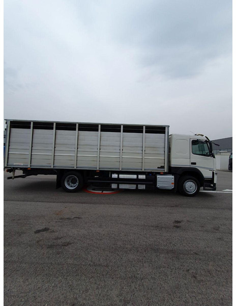 Volvo FM 500 Viehtransporter ( Rind / beef ) - Xe tải chở gia súc: hình 4 Volvo FM 500 Viehtransporter ( Rind / beef ) - Xe tải chở gia súc: hình 4