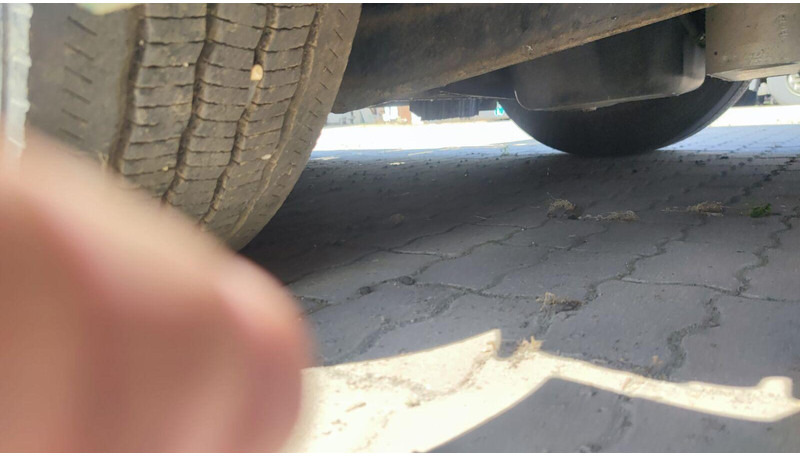 Xe đầu kéo MAN TGX 18.265 Lowdeck - MEGA: hình 13