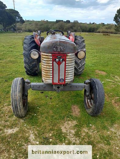 MASSEY FERGUSON 65 | 4 cylinder diesel | disc brakes - Máy cày: hình 2 MASSEY FERGUSON 65 | 4 cylinder diesel | disc brakes - Máy cày: hình 2