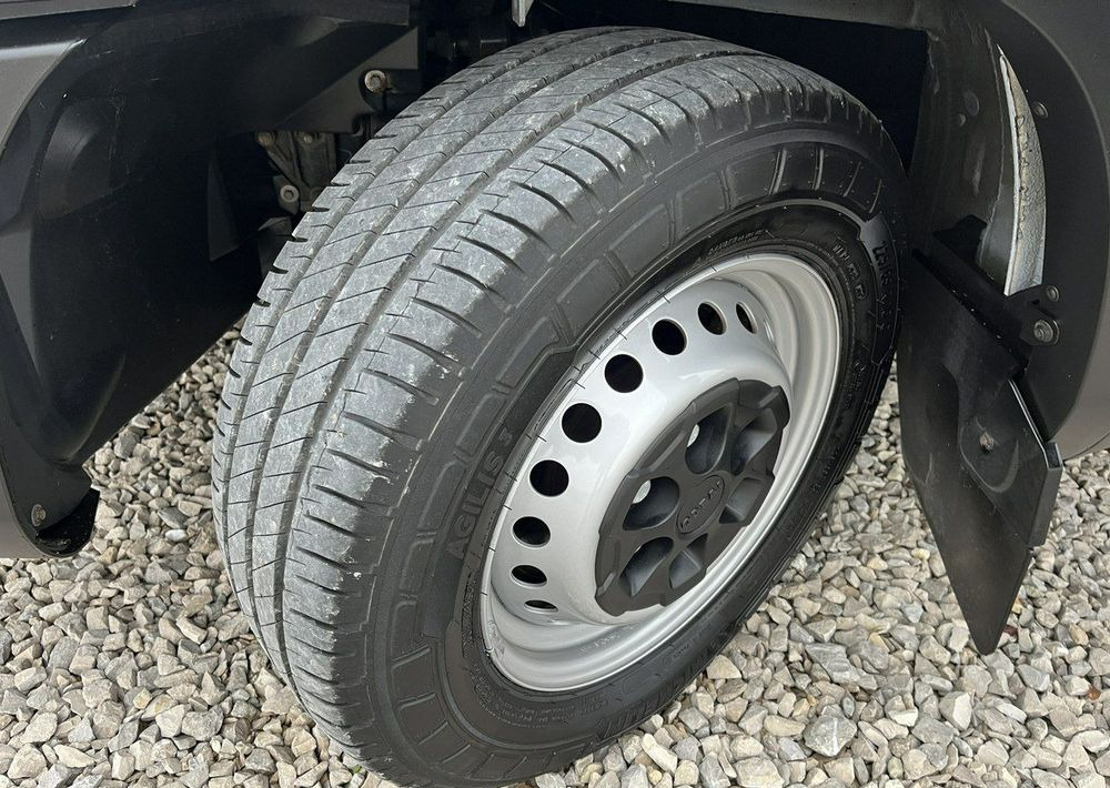 Xe van đông lạnh Iveco Daily: hình 28