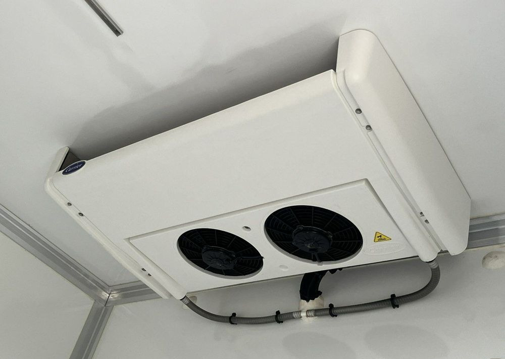 Xe van đông lạnh Iveco Daily: hình 7