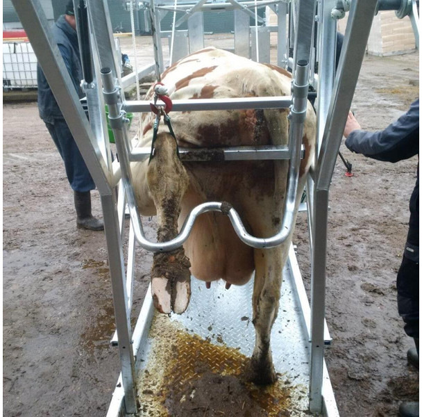 Trang thiết bị gia súc mới Klauwbekapbox Type L: hình 6 Trang thiết bị gia súc mới Klauwbekapbox Type L: hình 6