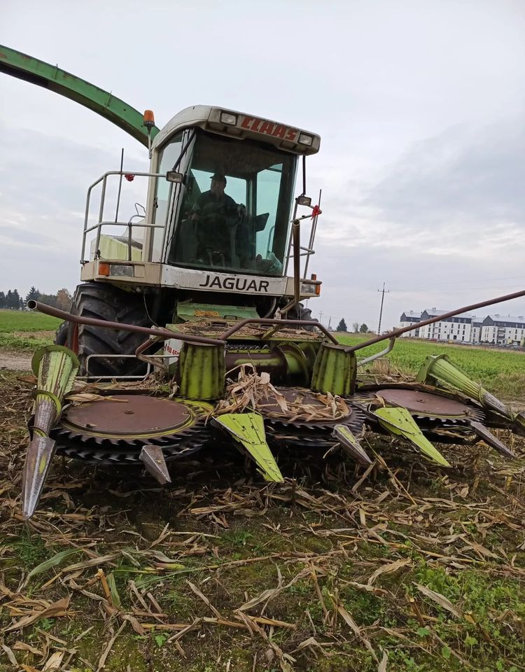 Claas Jaguar 840 - Máy gặt đập thức ăn gia súc: hình 2 Claas Jaguar 840 - Máy gặt đập thức ăn gia súc: hình 2