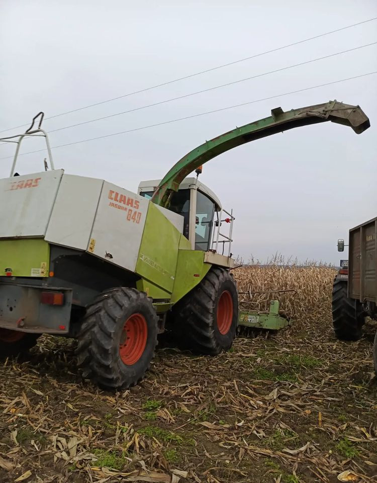 Claas Jaguar 840 - Máy gặt đập thức ăn gia súc: hình 5 Claas Jaguar 840 - Máy gặt đập thức ăn gia súc: hình 5