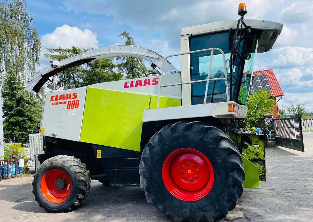 Claas Jaguar 880 - Máy gặt đập thức ăn gia súc: hình 1 Claas Jaguar 880 - Máy gặt đập thức ăn gia súc: hình 1