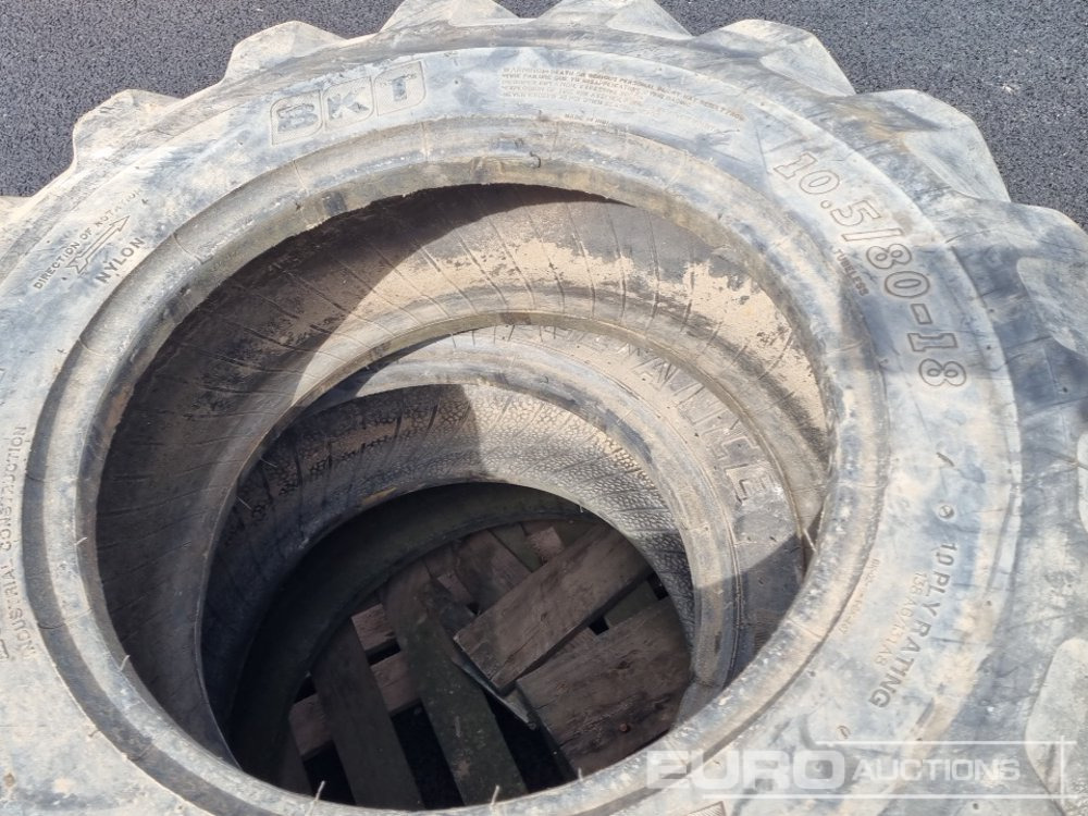 Lốp 10.5/80-18 Tyre (2 of), 12.5/80-18 Tyre, 16.9-24 Tyre: hình 9