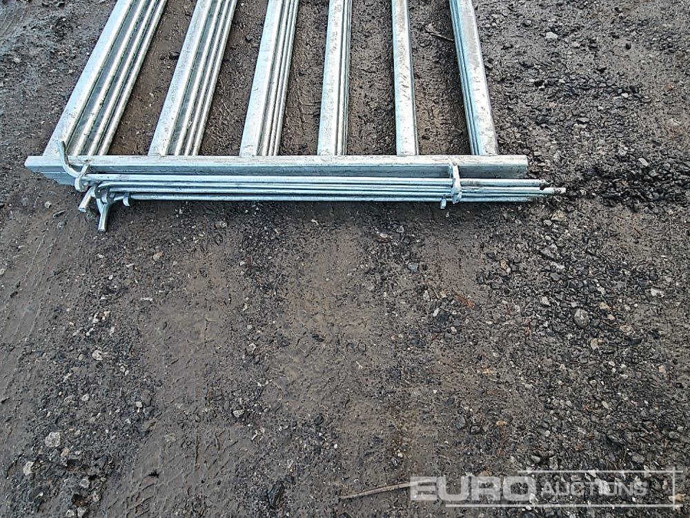 Máy móc nông nghiệp Unused 10' Galvanised Calf Hurdle (4 of): hình 6 Máy móc nông nghiệp Unused 10' Galvanised Calf Hurdle (4 of): hình 6