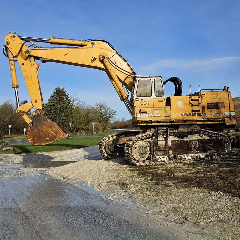 Liebherr R984 - Máy xúc bánh xích: hình 2 Liebherr R984 - Máy xúc bánh xích: hình 2