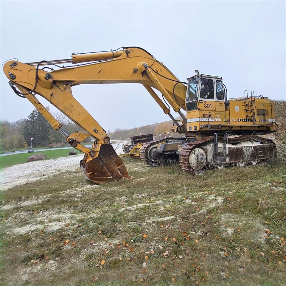 Liebherr R984 - Máy xúc bánh xích: hình 4 Liebherr R984 - Máy xúc bánh xích: hình 4