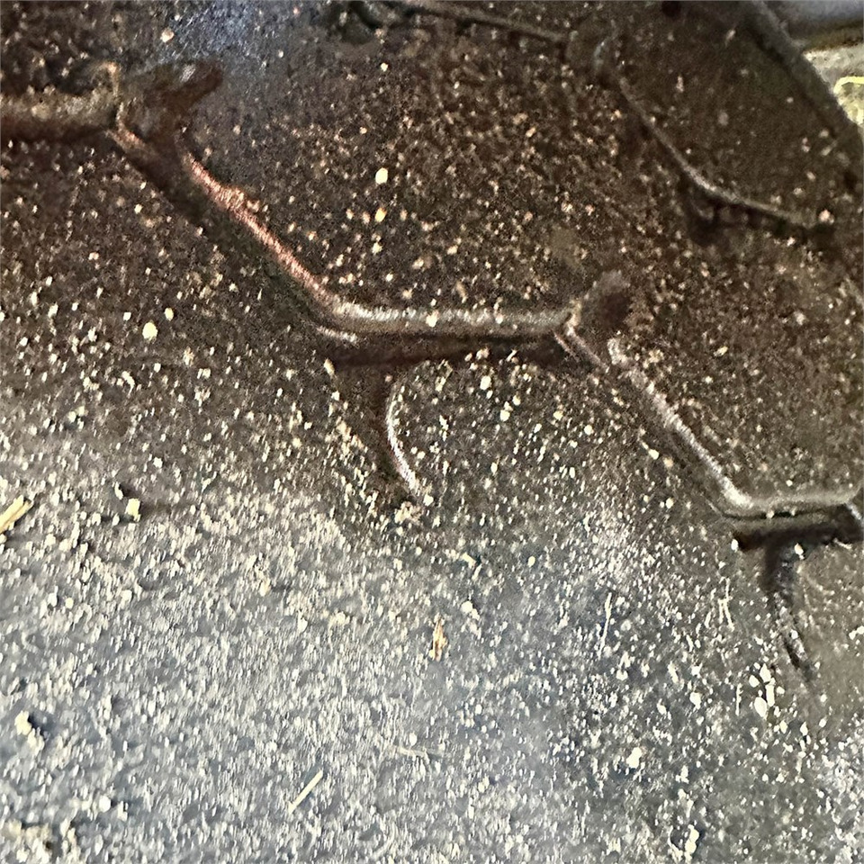 Xe đầu kéo MAN TG 26.6x2-2 BLS: hình 37