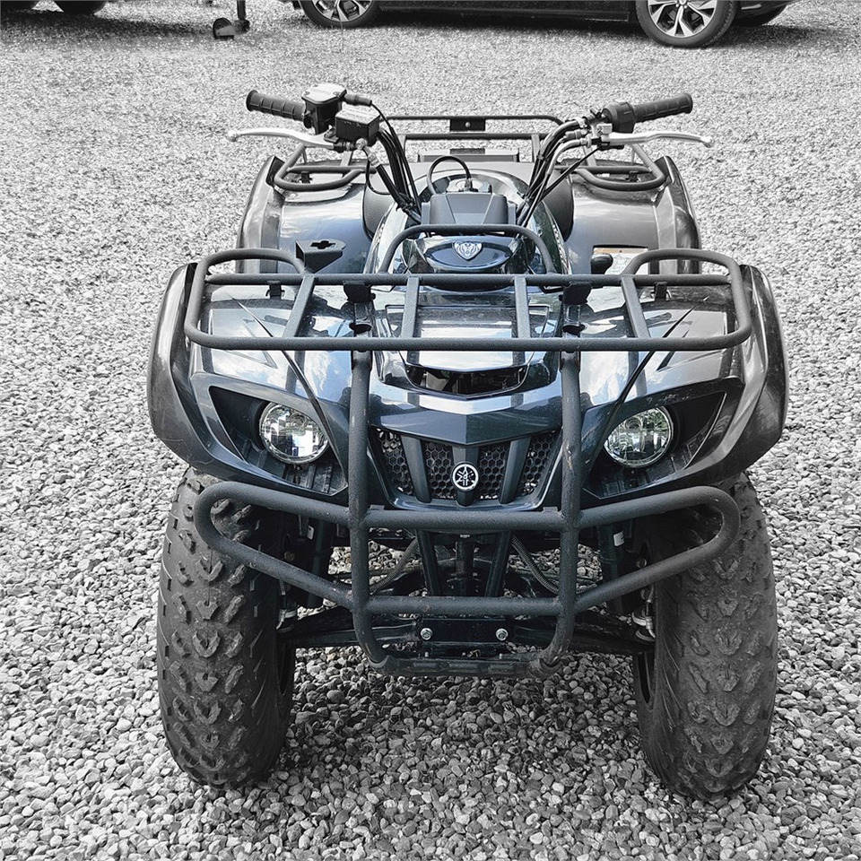 Yamaha YFM 250 - ATV/ Xe 4 bánh: hình 2 Yamaha YFM 250 - ATV/ Xe 4 bánh: hình 2
