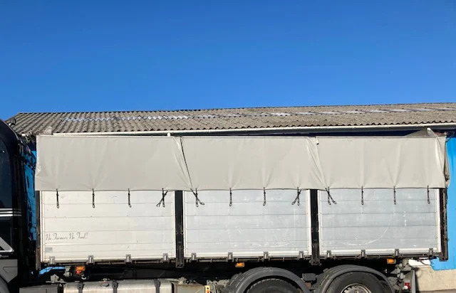 Korn lad - Thân nhỏng: hình 4 Korn lad - Thân nhỏng: hình 4