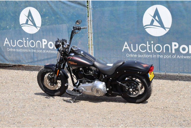 Harley-Davidson FLSTSB CROSS-BONES - Xe máy: hình 3 Harley-Davidson FLSTSB CROSS-BONES - Xe máy: hình 3