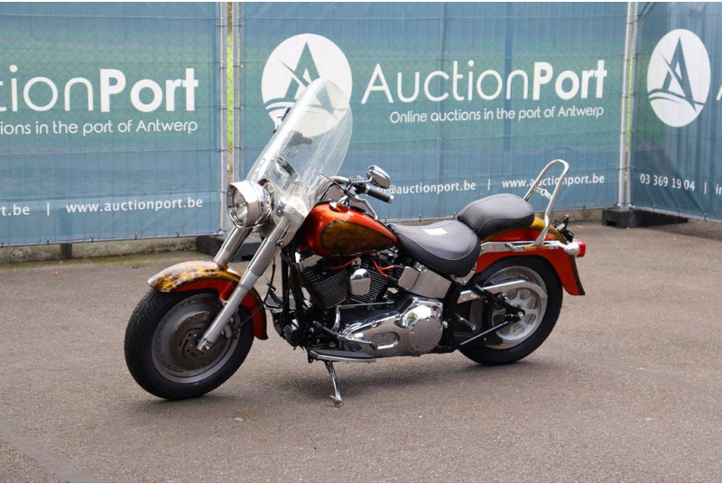 Xe máy Harley-Davidson Fat Boy Softail: hình 9 Xe máy Harley-Davidson Fat Boy Softail: hình 9