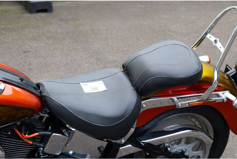 Xe máy Harley-Davidson Fat Boy Softail: hình 19 Xe máy Harley-Davidson Fat Boy Softail: hình 19