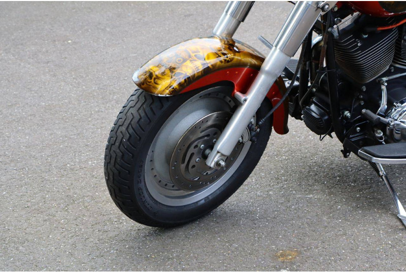 Xe máy Harley-Davidson Fat Boy Softail: hình 10 Xe máy Harley-Davidson Fat Boy Softail: hình 10