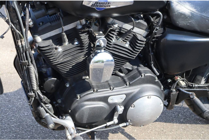 Xe máy Harley-Davidson SPORTSTER XL1200 CUSTOM: hình 12