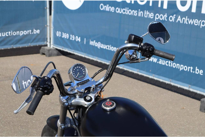 Xe máy Harley-Davidson SPORTSTER XL1200 CUSTOM: hình 16