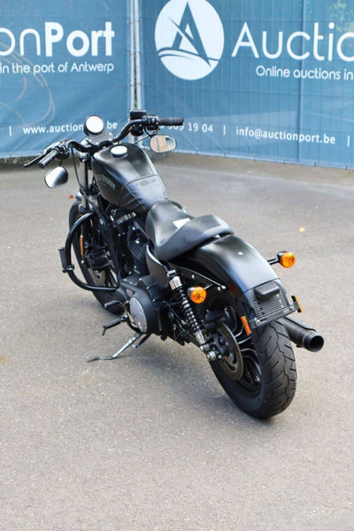 Harley-Davidson Sportster 883N Iron - Xe máy: hình 4 Harley-Davidson Sportster 883N Iron - Xe máy: hình 4