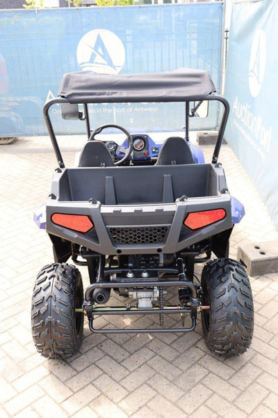 Wextrem UTV-ATV 200Pro - Xe golf: hình 4 Wextrem UTV-ATV 200Pro - Xe golf: hình 4