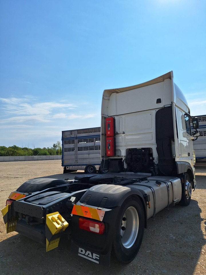 DAF XF 480 - Xe đầu kéo: hình 5 DAF XF 480 - Xe đầu kéo: hình 5